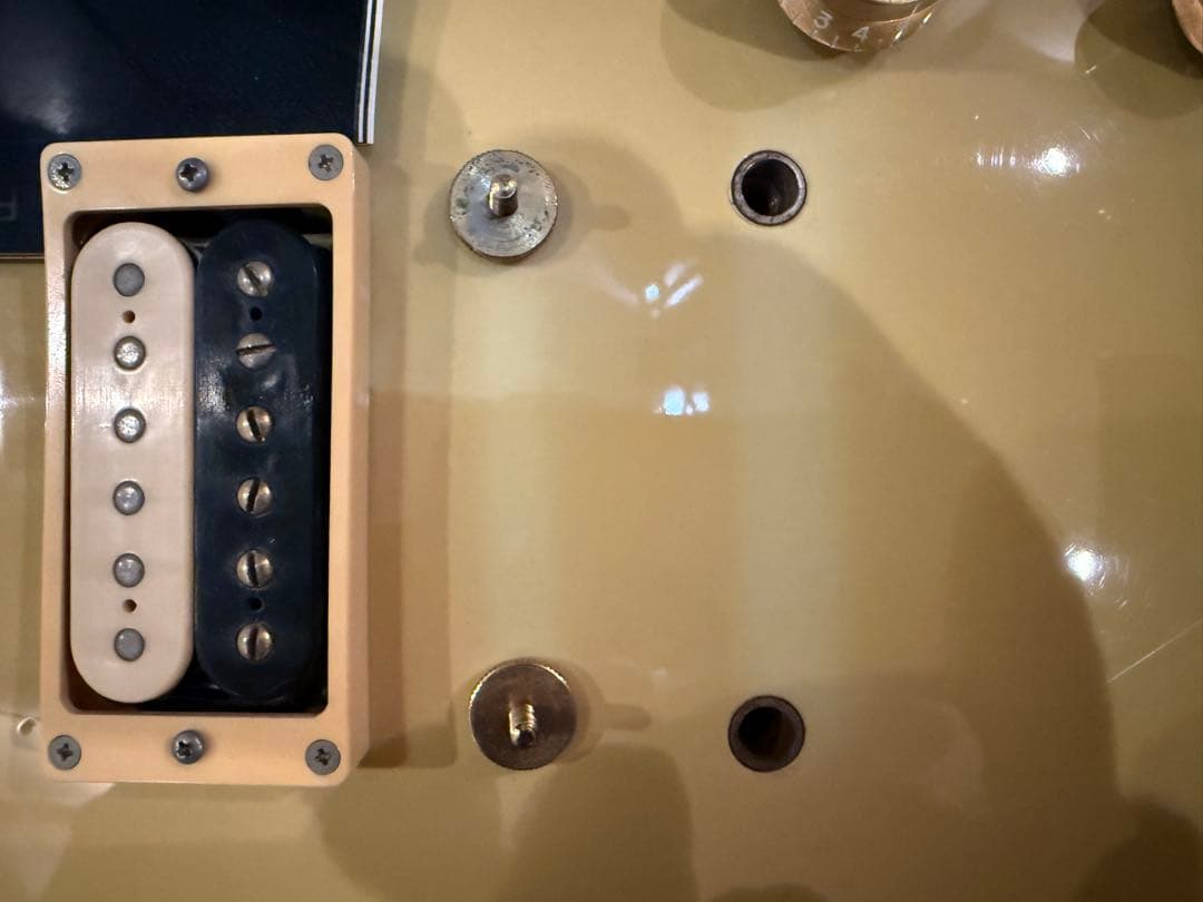 バーニー レスポールカスタム ランディーローズモデル