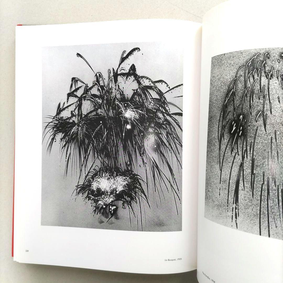 MAN RAY/マン・レイ 写真集 作品集 洋書