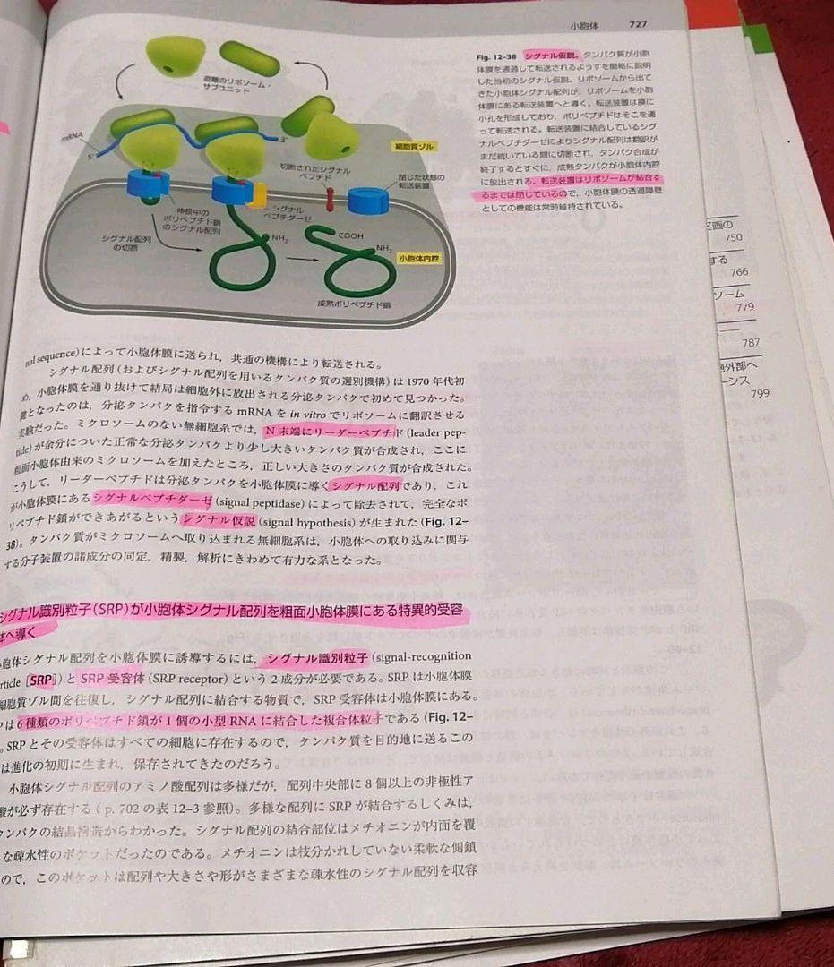 【授業料免除】東京大学生物科学専攻に合格した私が用いたThe Cell