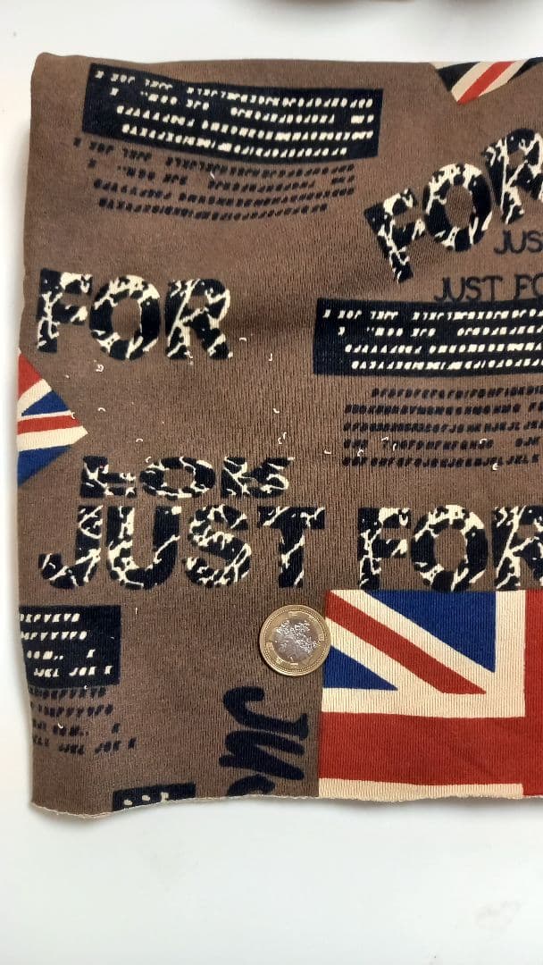 ユニオンジャックの犬の服　着画あり