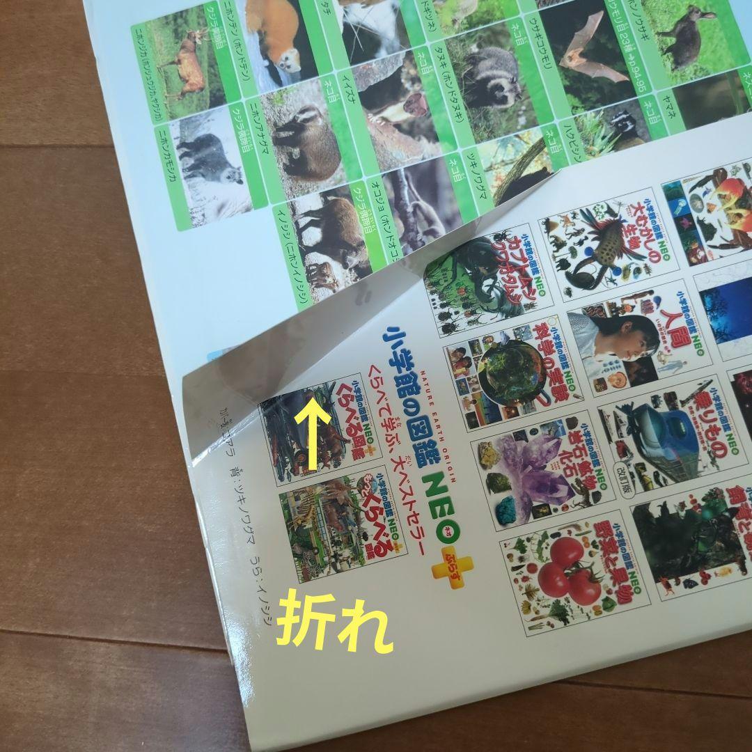 子供　図鑑NEO　図鑑MOVE　図鑑LIVE 16冊　DVD付き まとめ売り