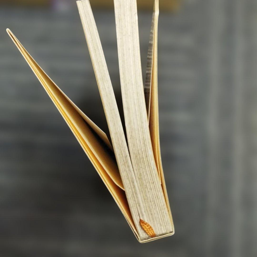 【初版本】元気テレビ屋大騒ぎ!　井原高忠