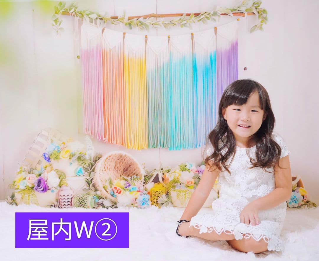 背景布×6+1枚　ペット、サロン撮影用フォトブース　トリミングチョーカー販売中