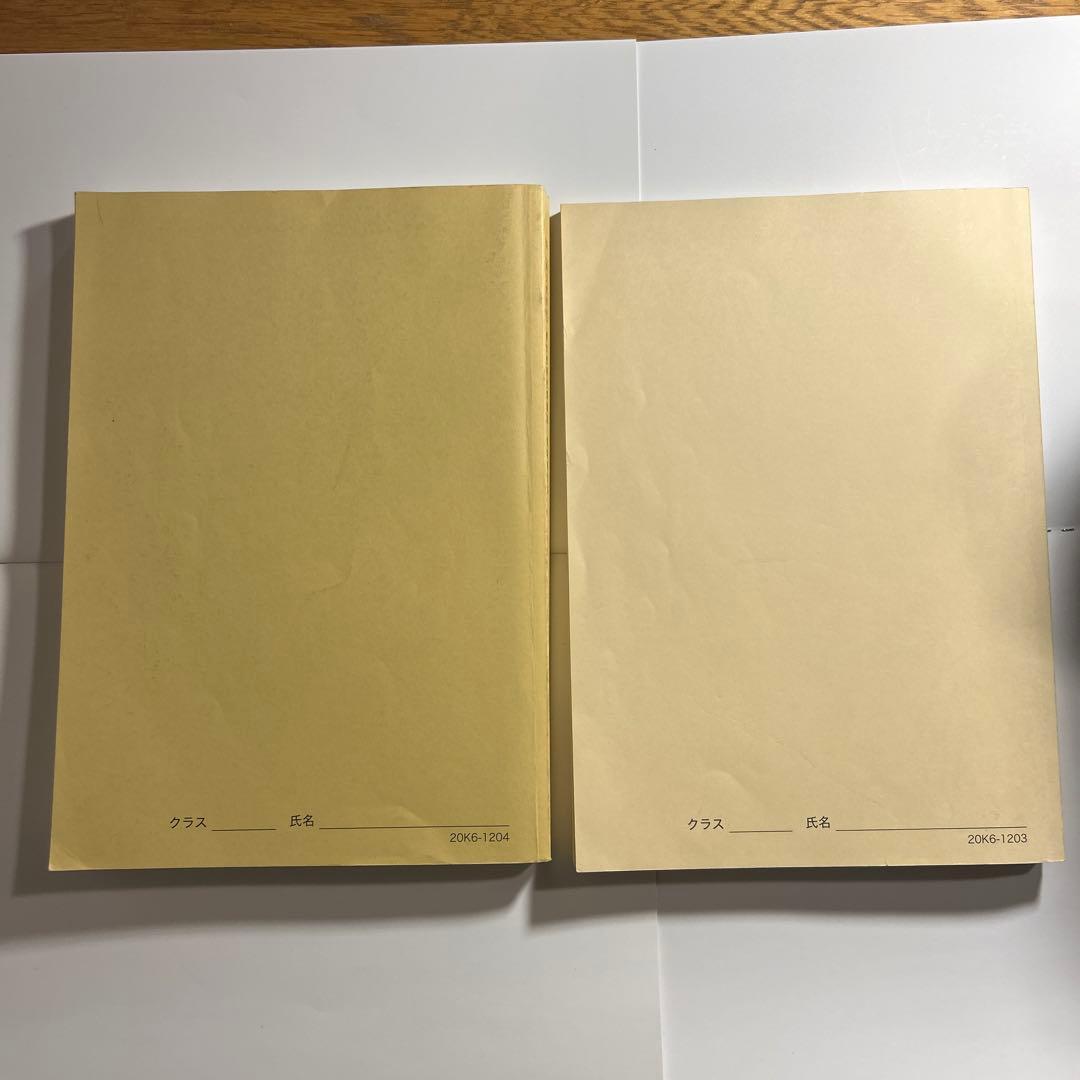 鉄緑会　東大世界史問題集