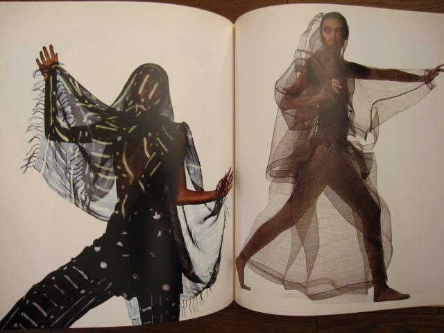 Issey Miyake by Irving Penn 1990　フライヤー付