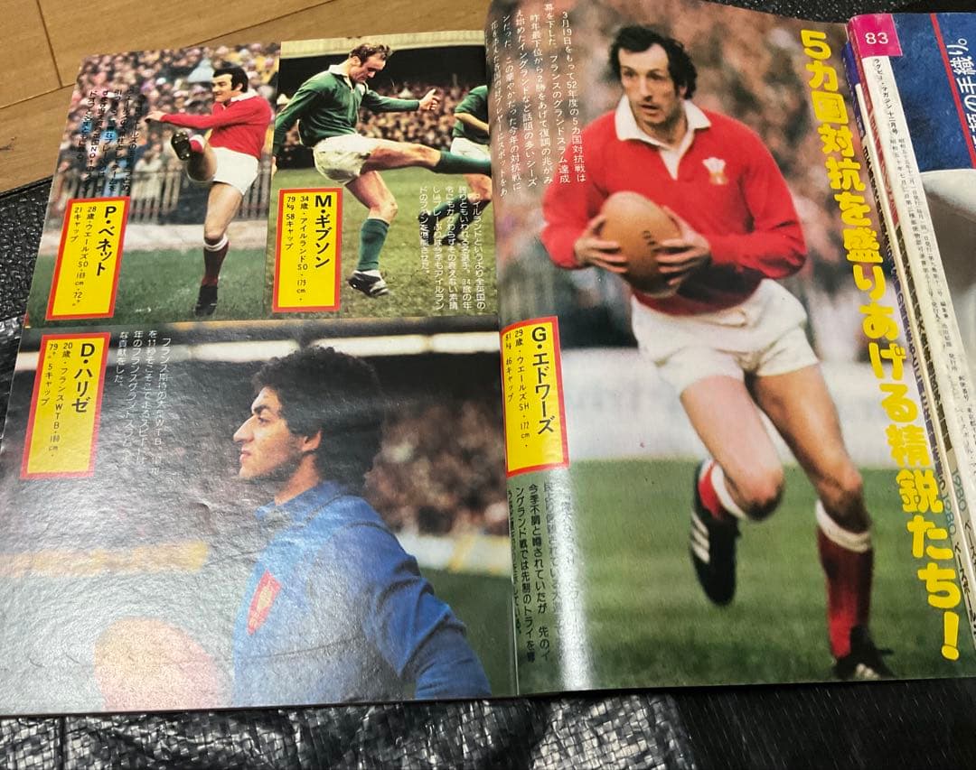 超お宝1974年ブリティッシュライオンズ南アフリカ遠征、史上最大の快挙！記念タイ