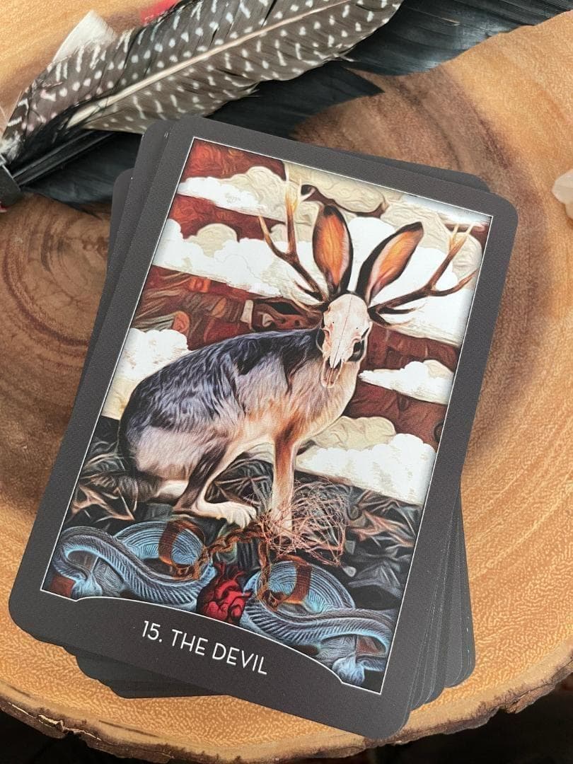 ★正規品タロットカード★人気作者の美麗デッキ✨美しい夜の動物たちのタロット