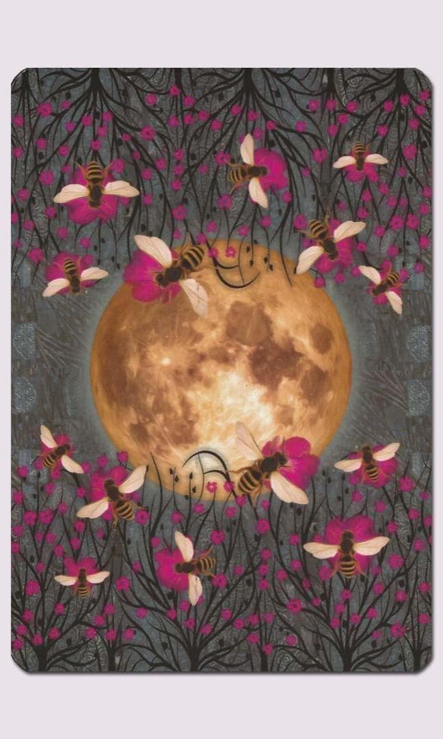 ★正規品タロットカード★人気作者の美麗デッキ✨美しい夜の動物たちのタロット