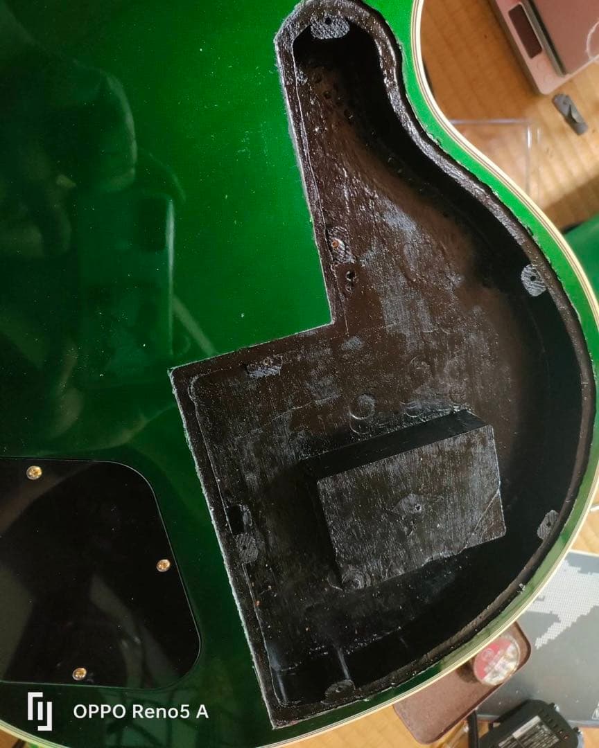 FUJIGEN レスポール　NLC100