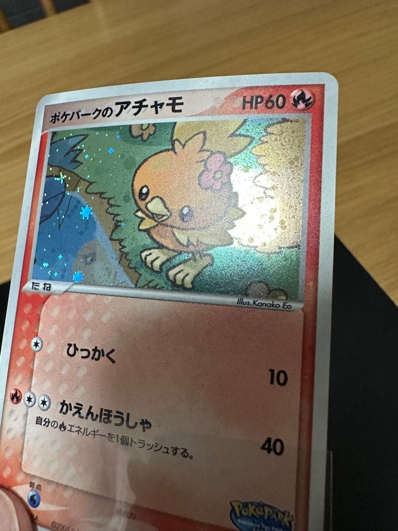 ポケパークのアチャモ　プレミアムファイル