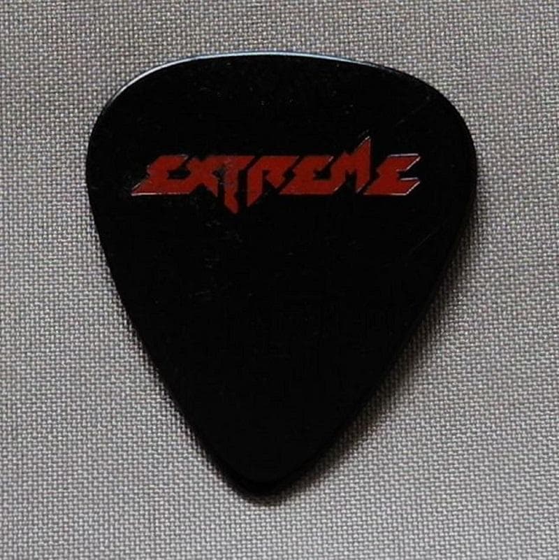 Extreme Nuno Bettencourt 1991 日本公演 ピック
