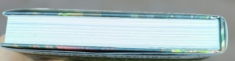 ◇スタジオジブリの美術 武重洋二◇ジブリ