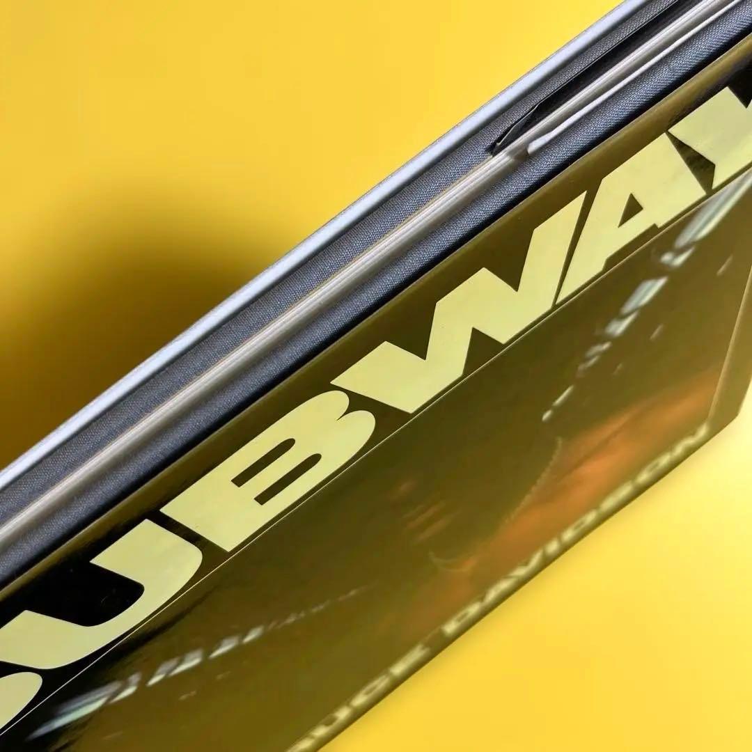 BRUCE DAVIDSON : SUBWAY ブルース・デヴィッドソン 写真集