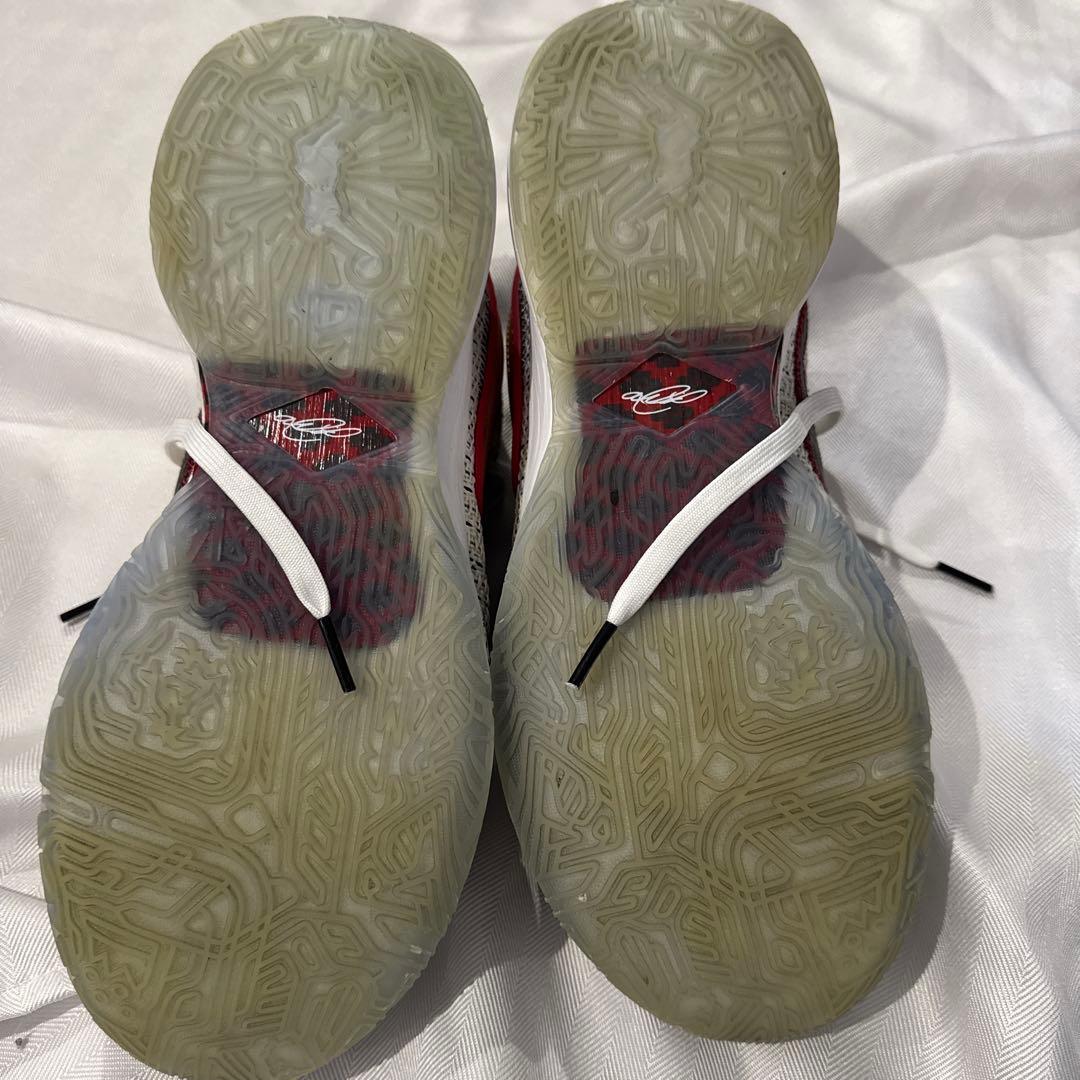 NIKE LEBRON 20 EP サイズ30cm