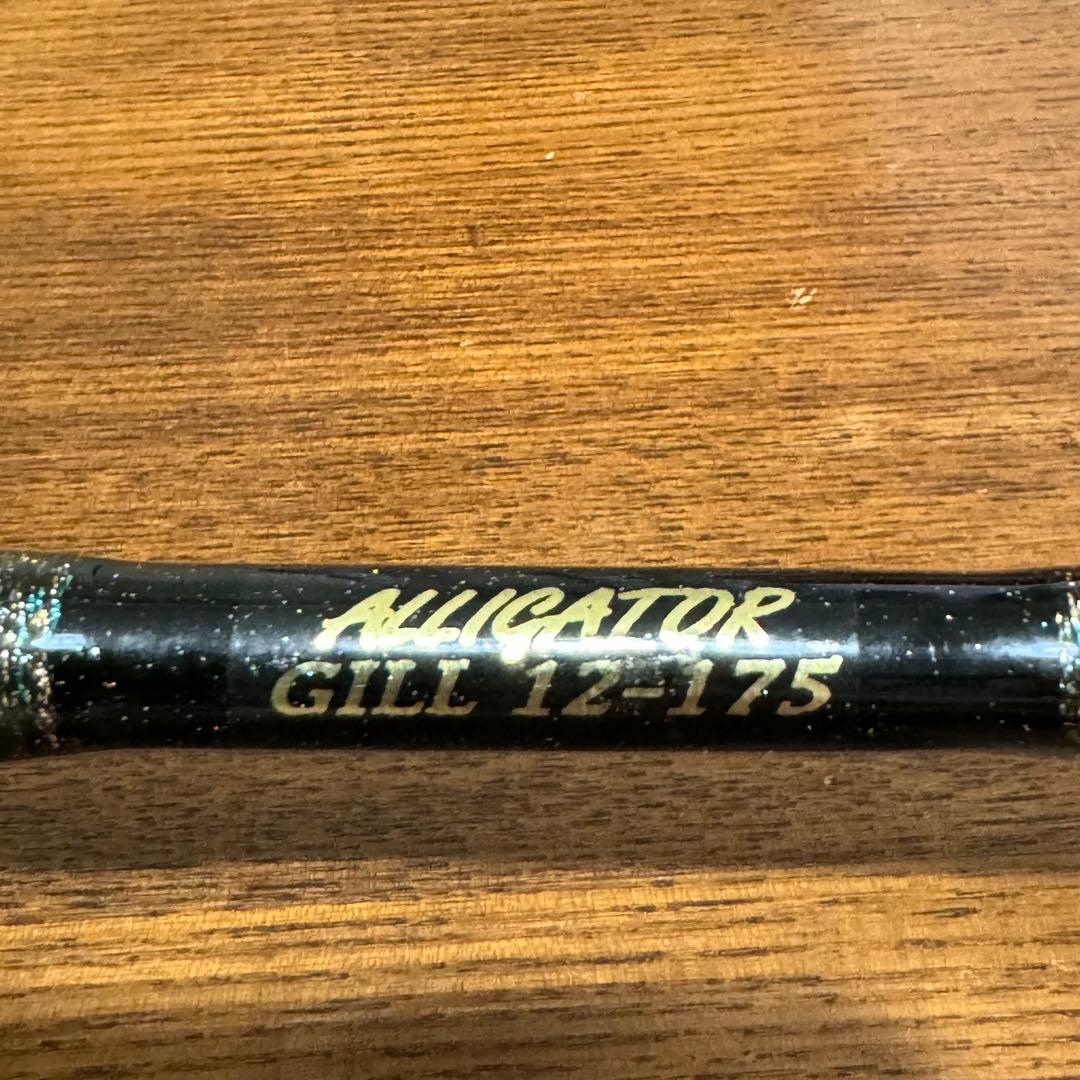 アリゲーター　ギル　12-175