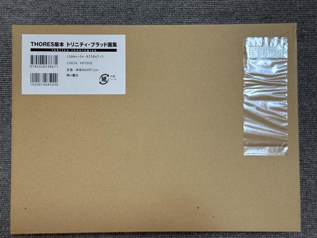 THORES柴本 トリニティ・ブラッド画集 ファブリカ・テオロギア