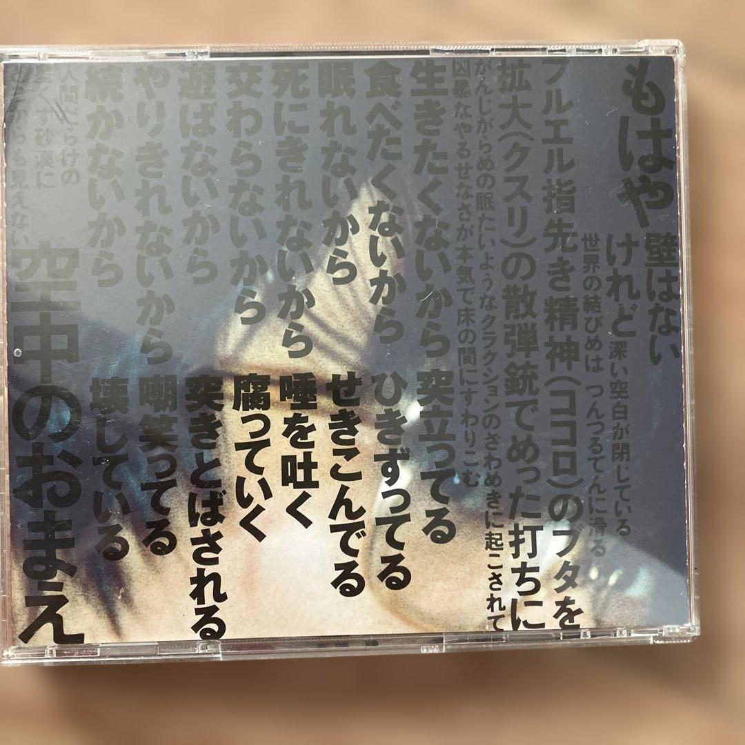 希少　ガセネタ　SOONER OR LATER cd