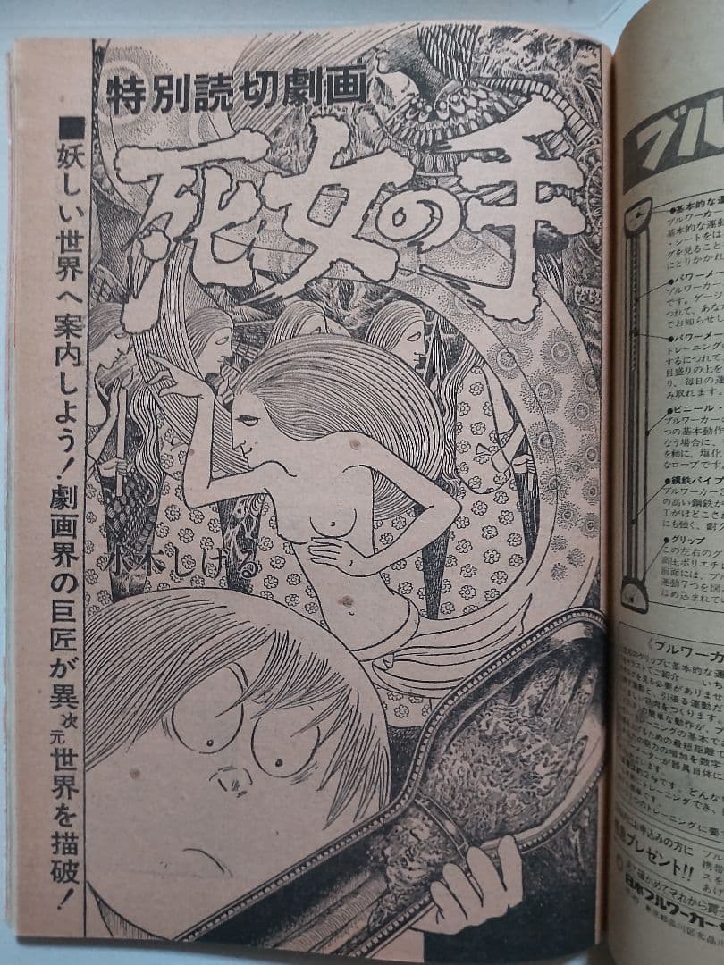 1976 週刊プレイボーイ スパイダーマン playboy spider-man