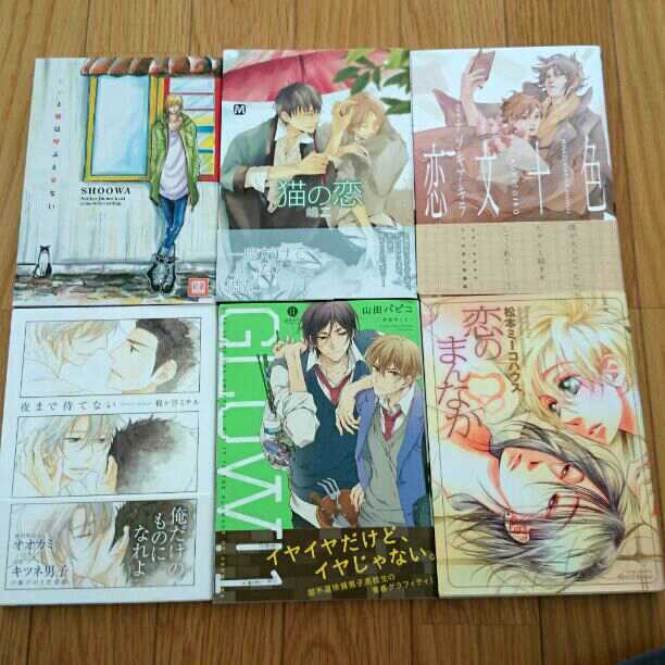 ＢＬコミックー20冊