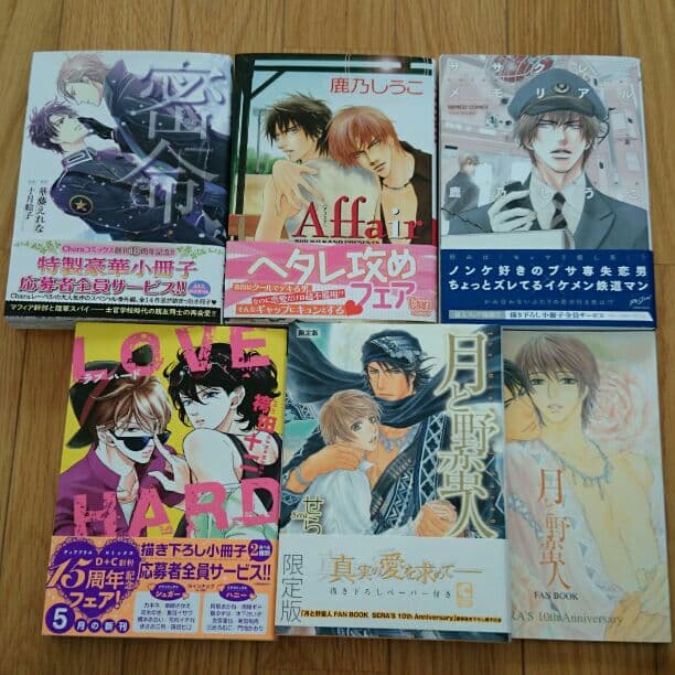 ＢＬコミックー20冊