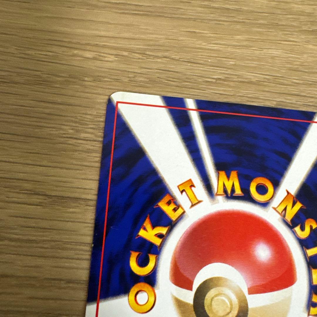 ゼニガメ、カメール イントロパック【5436