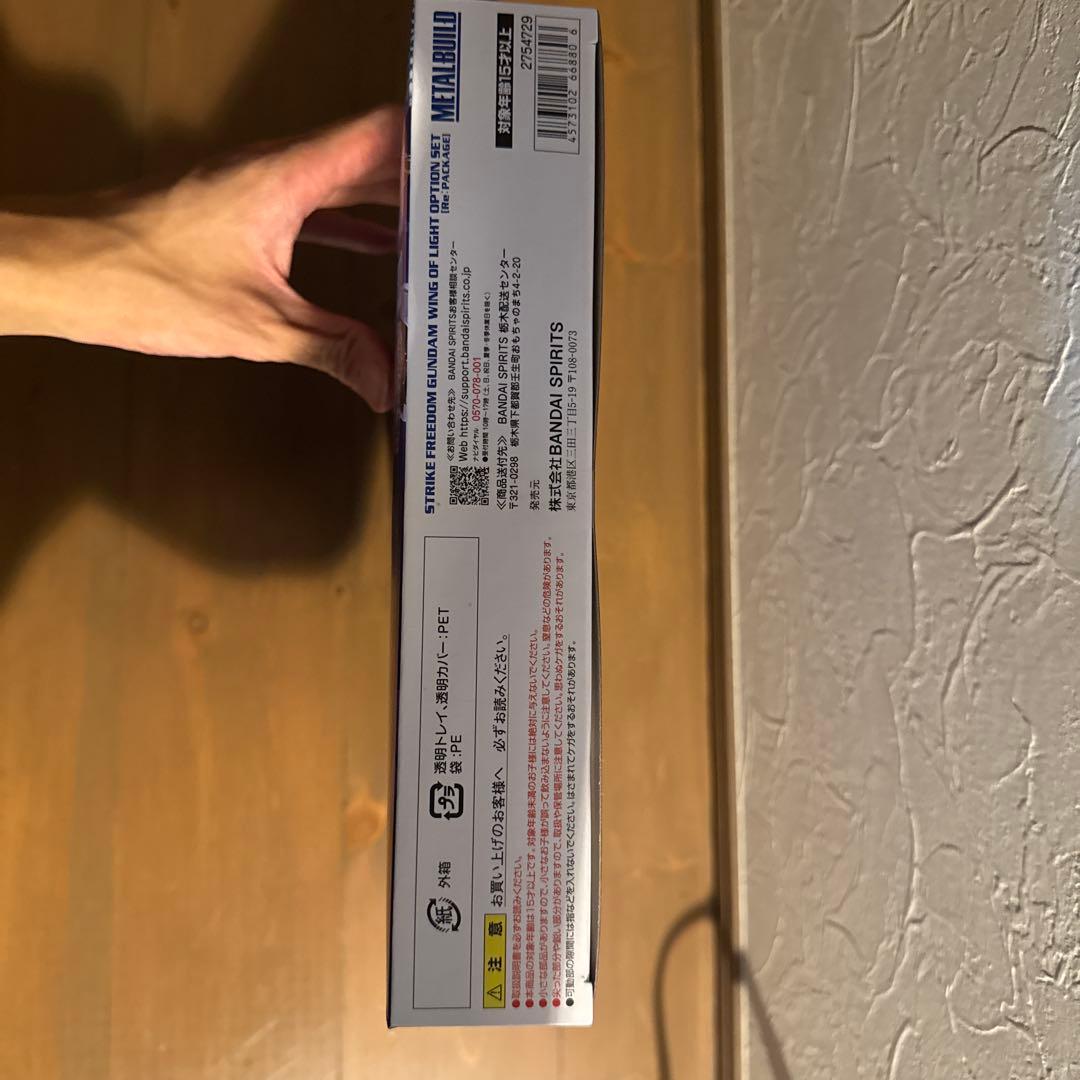 L BUILD ストライクフリーダムガンダム &光の翼