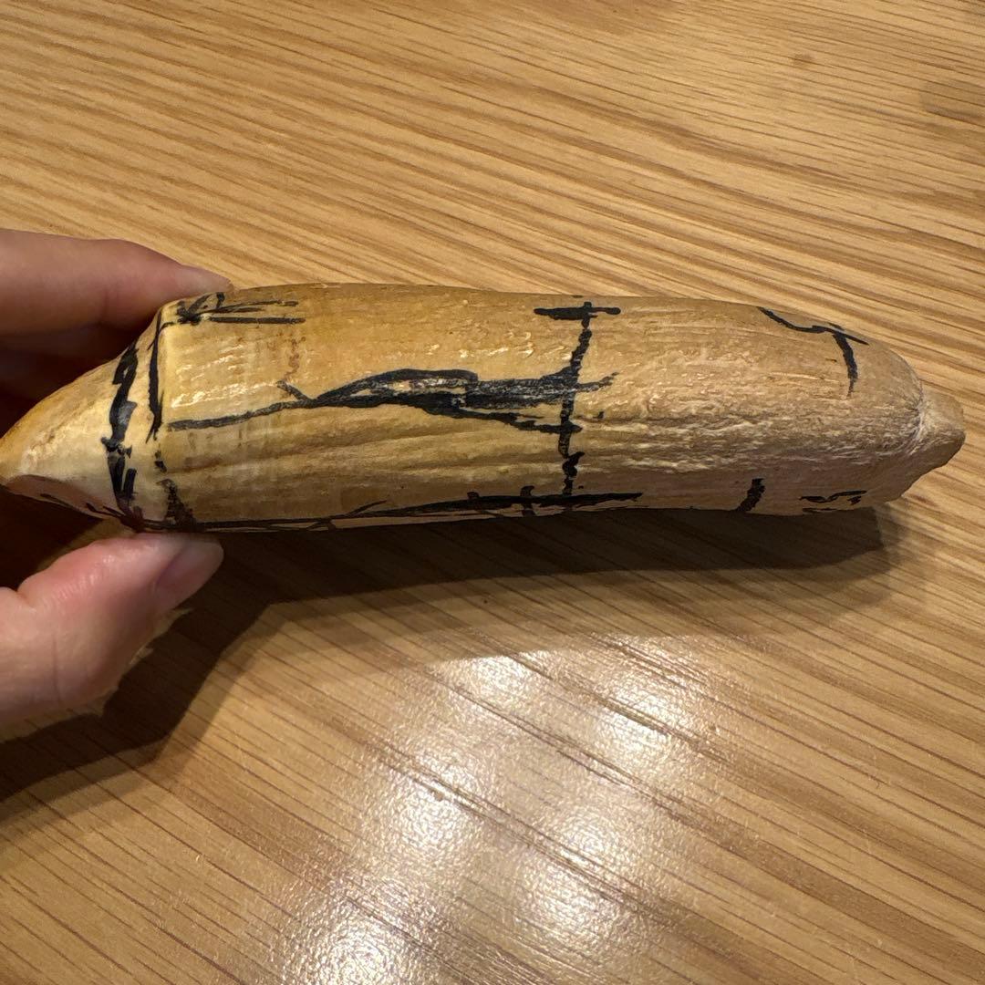 マッコウクジラの歯 382g 鯨牙 鯨歯 歯牙 天然素材 歯 印材