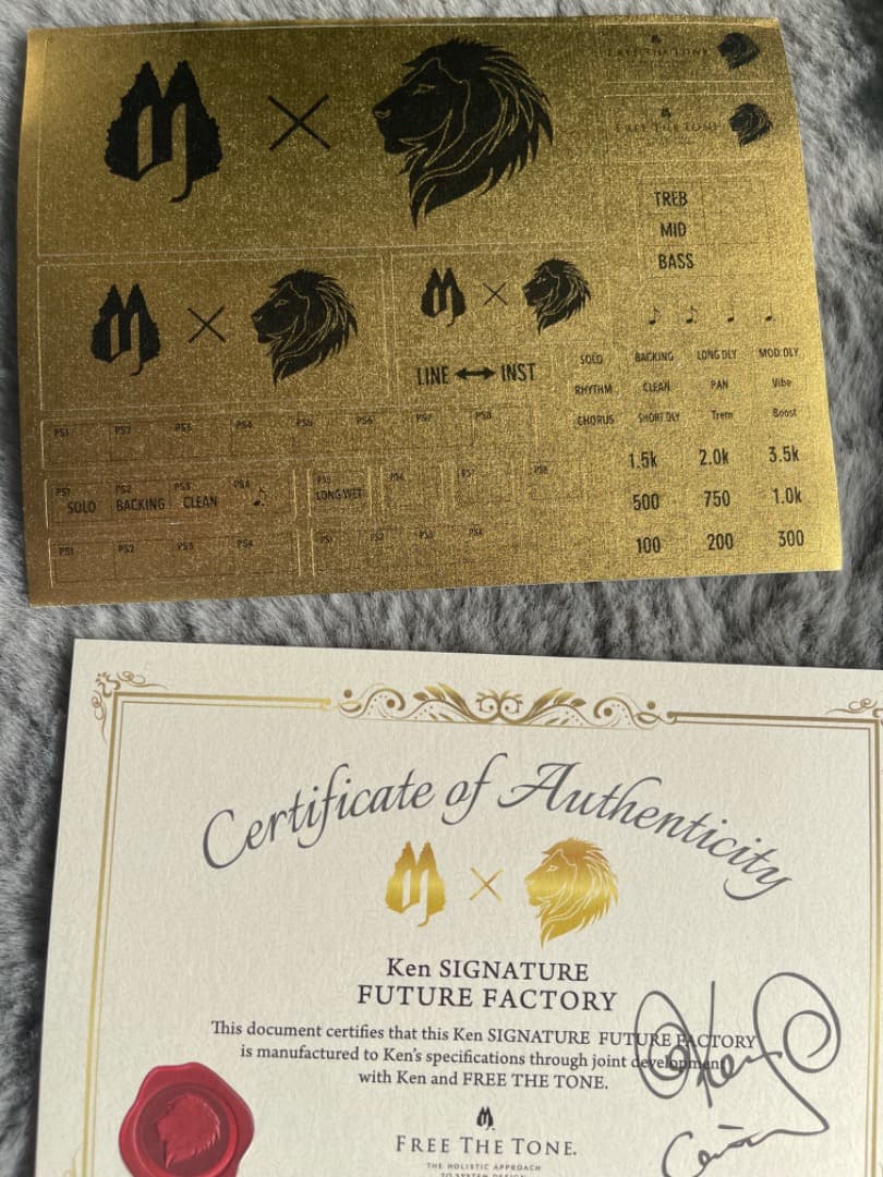 ギター FREE THE TONE FUTURE FACTORY FF-1Y-K