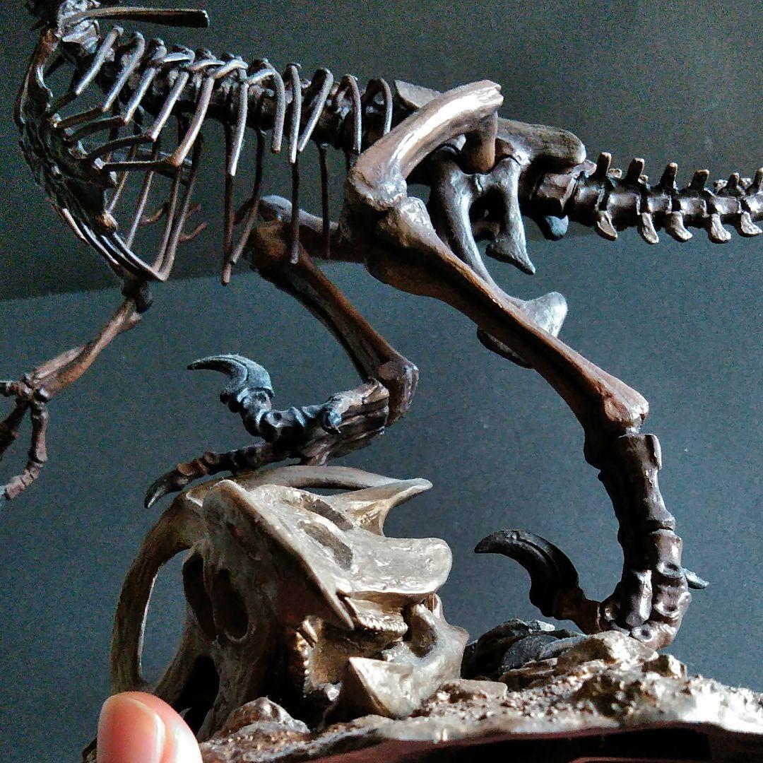 恐竜　化石　骨格　標本　獣脚類　骨格モデル