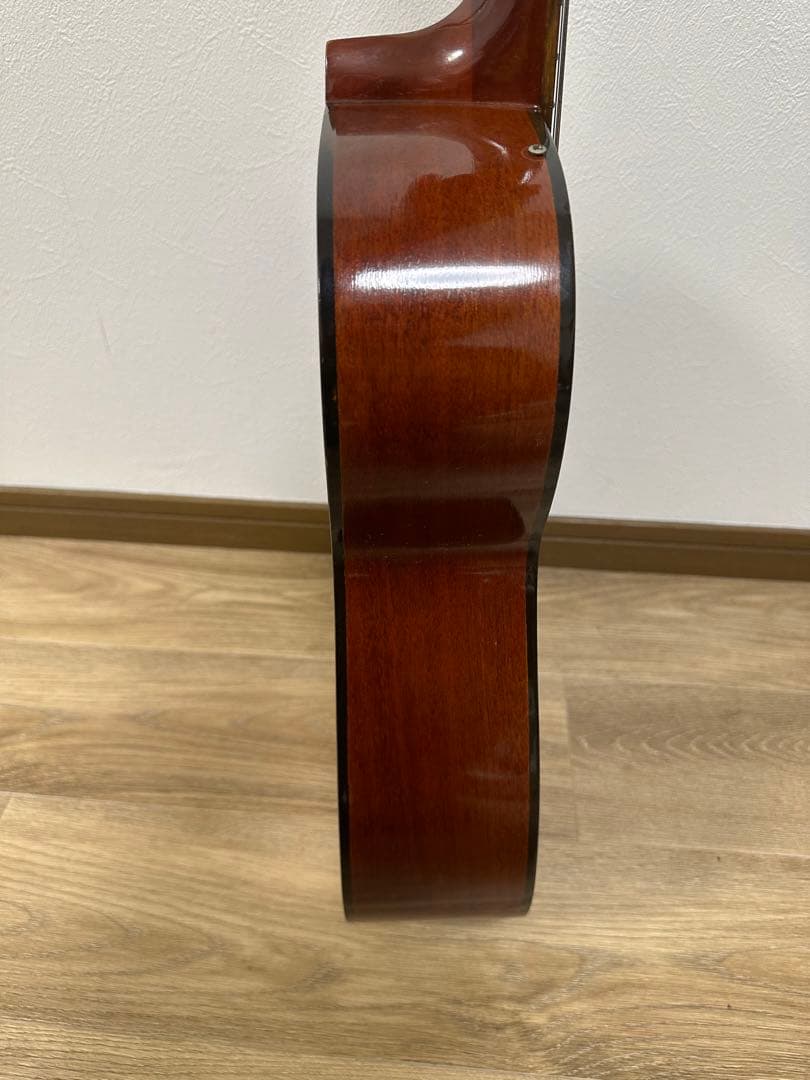 Elite Takamine アコースティックギター F80　ナチュラルウッド