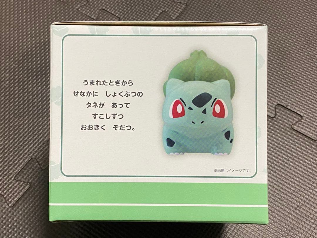 【ポケモンセンター限定】 ミニ植木鉢 フシギダネ