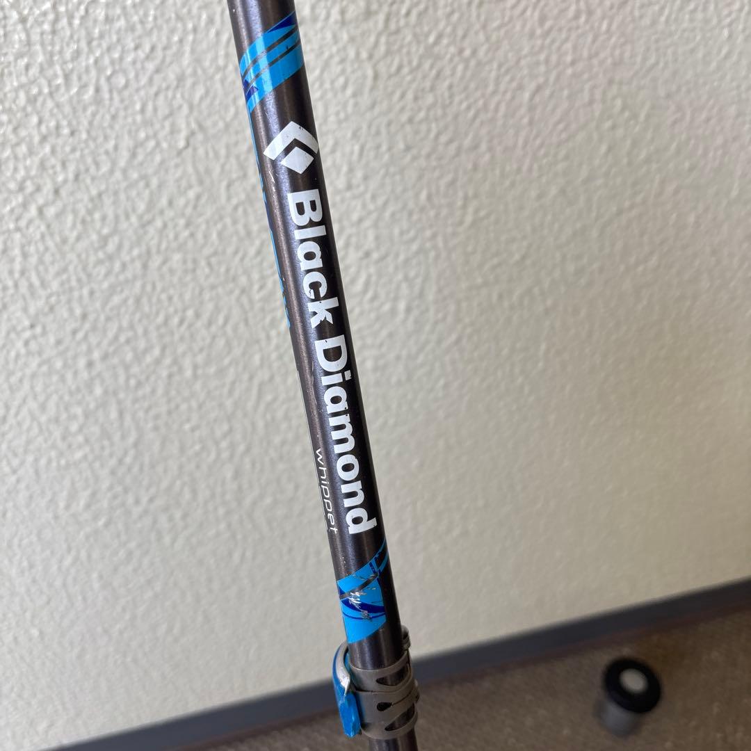  ストック　ウィペット