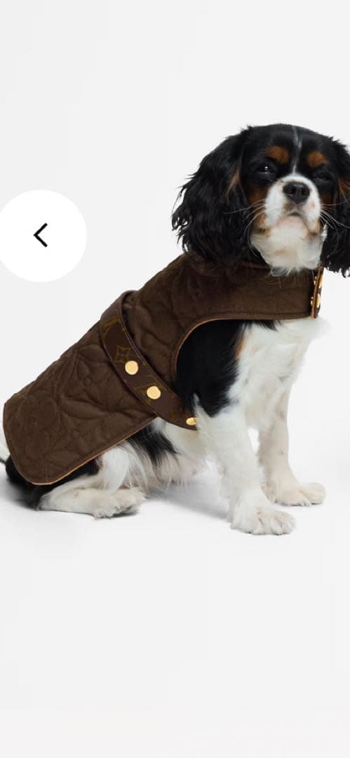 ルイヴィトン♡ドッグコートPM 試着のみ美品 正規品