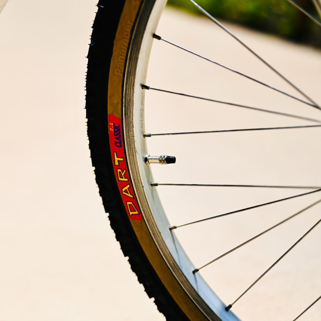 【セミレストア済】Panasonic MOUNTAIN CATヴィンテージMTB