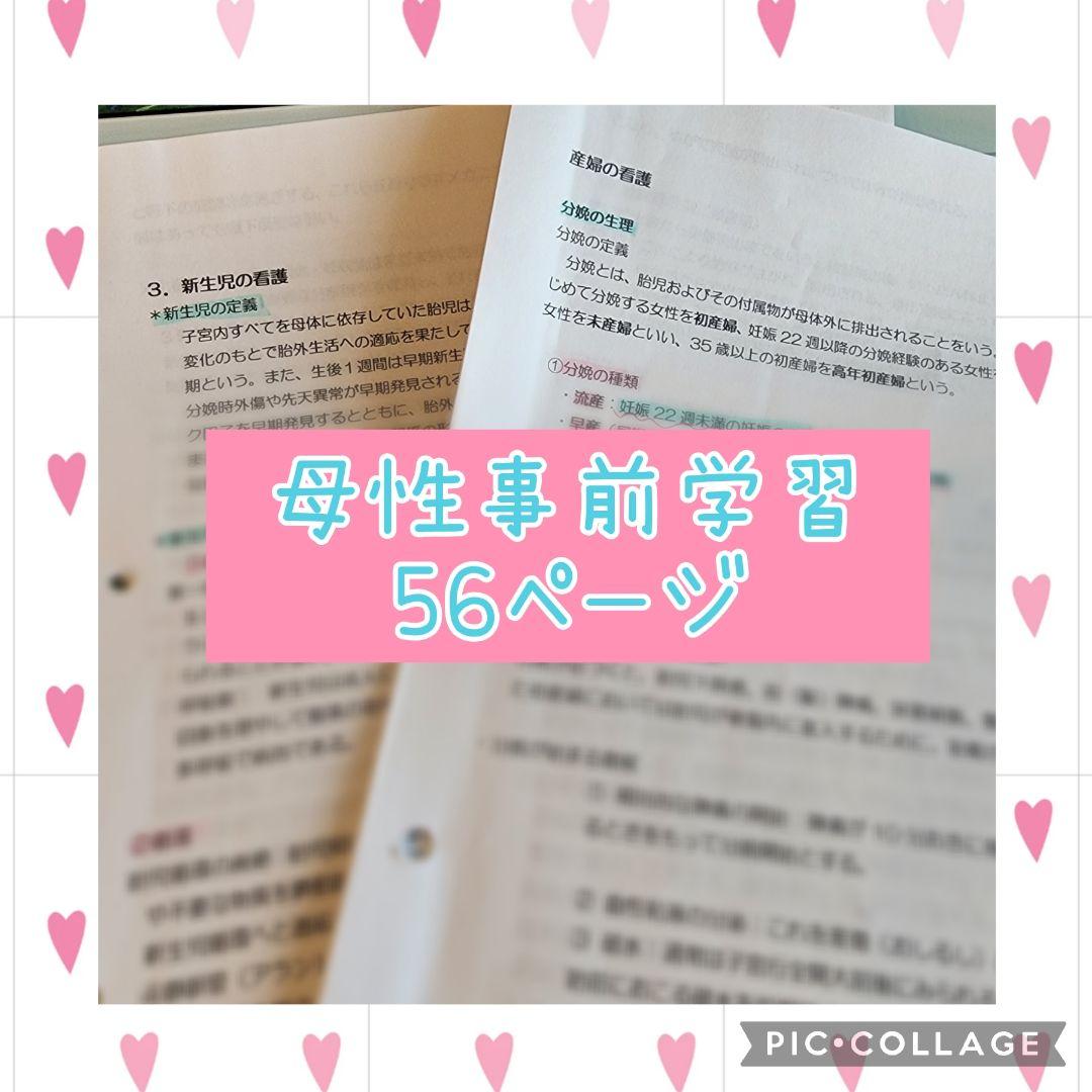 看護実習セット★　看護過程　アセスメント　看護目標　　手順書　看護学生　国家試験