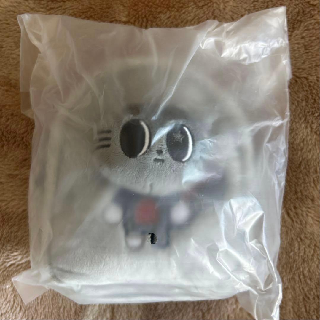 txtダゴニャン テヒョン　プルバトゥ　キーリング ぬいぐるみ　すいか