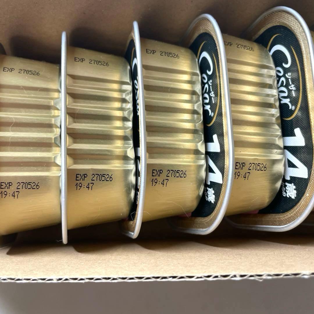 シーザー　ウェットフード　14歳以上　シニア　シニア犬の食事