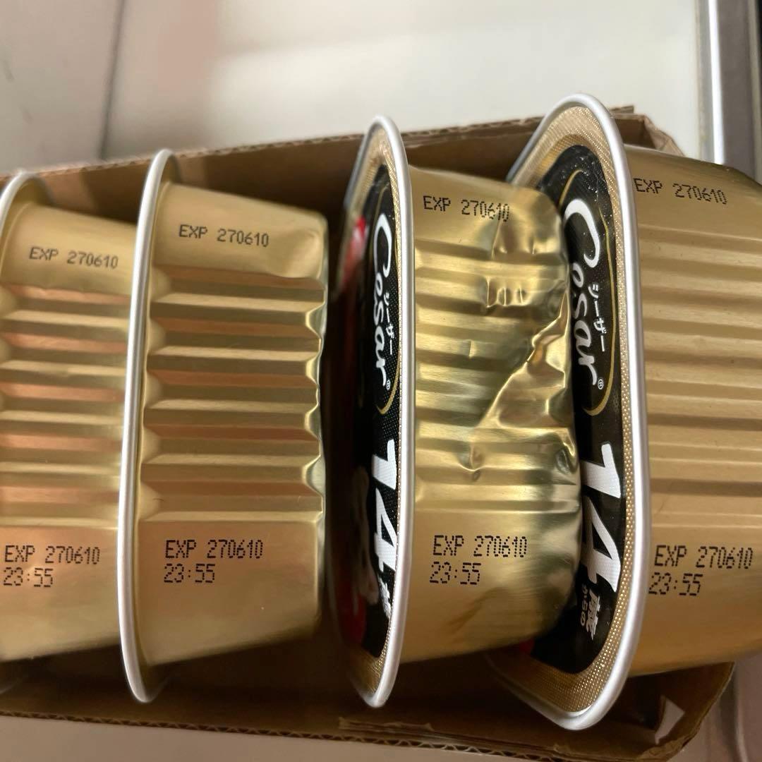 シーザー　ウェットフード　14歳以上　シニア　シニア犬の食事