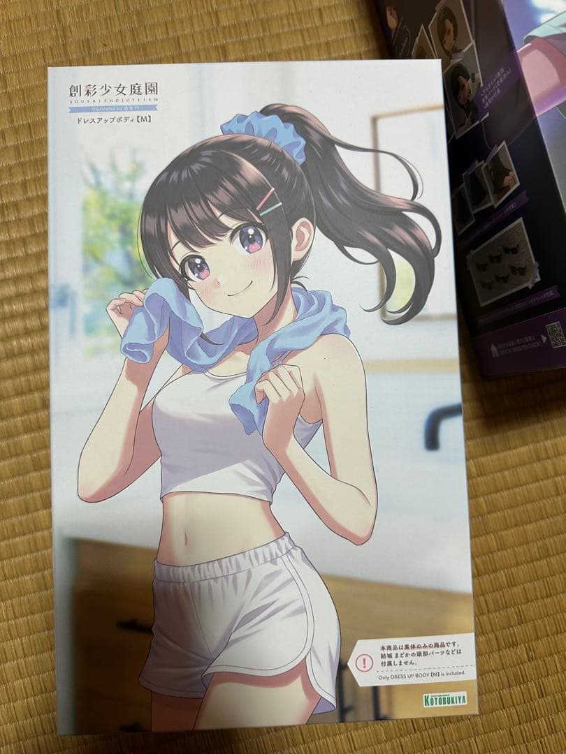 2/1まで出品　美少女プラモデルまとめ売り