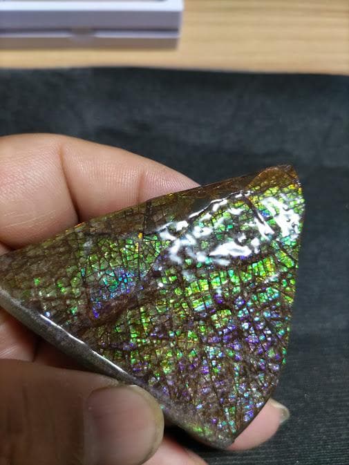 アンモライト 標本 両面 アンモナイト ドラゴンスキン おまけ