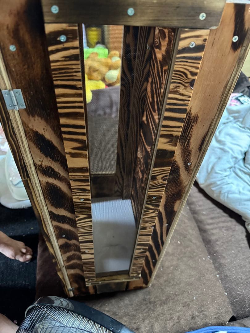 カメレオンケージ