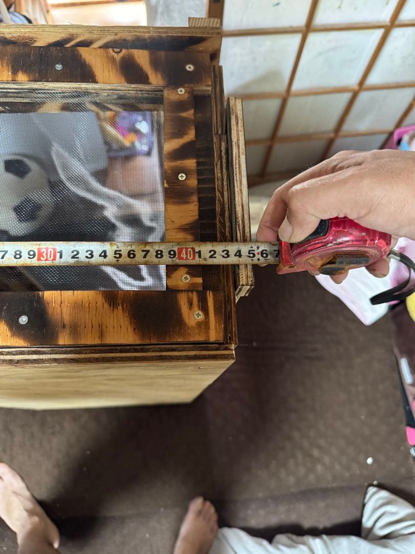 カメレオンケージ