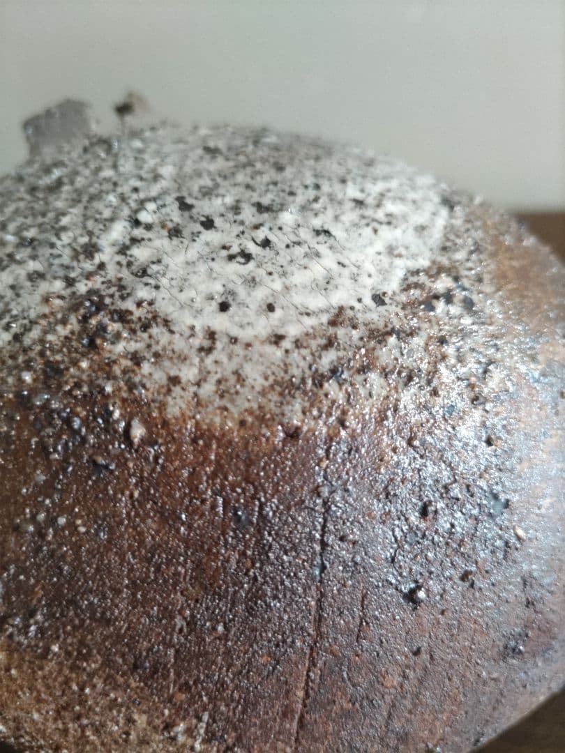 花器　信楽焼 　恐竜のたまご