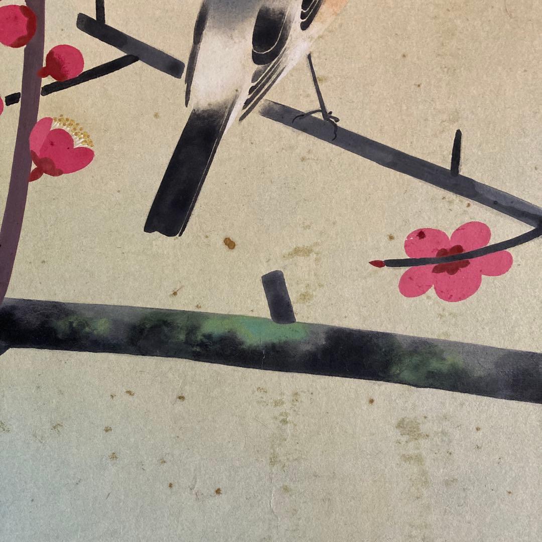 金島桂華「梅」38.4×45cm 2重箱　箱書き　紙本採色　豪華軸装　芸術院会員