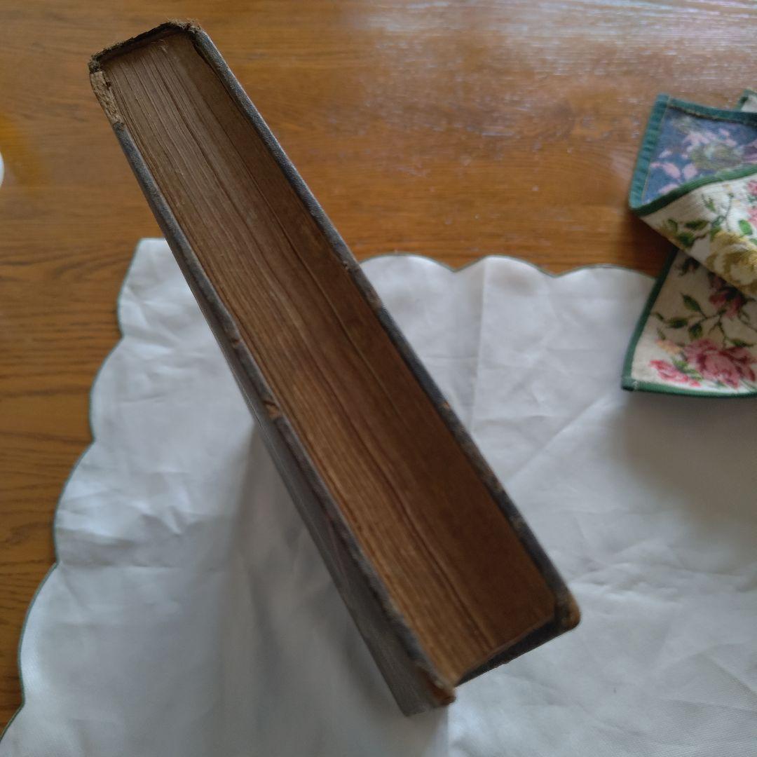 1929年マクミラン社発行 ピノキオの冒険