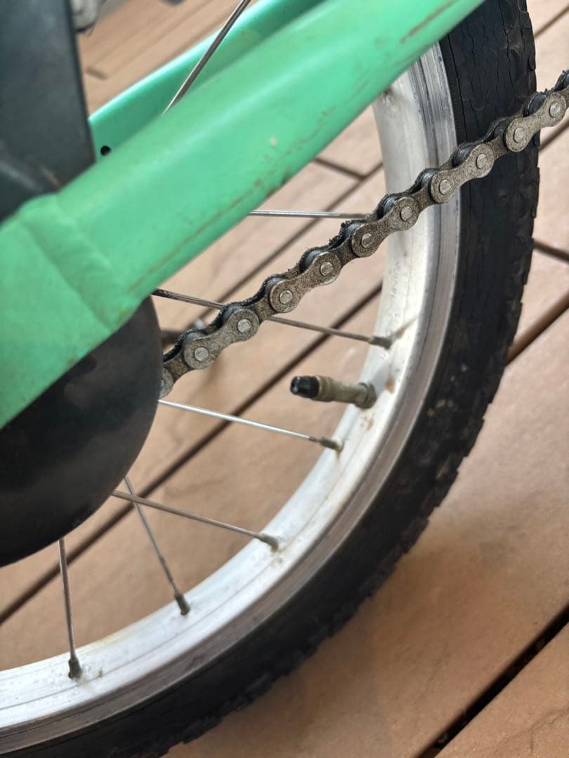 LOUIS GARNEAUルイガノ LGS-J16 16インチ