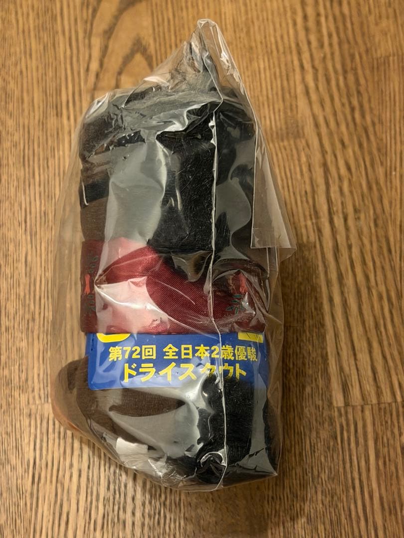 ドライスタウト　アイドルホース　全日本2歳優駿