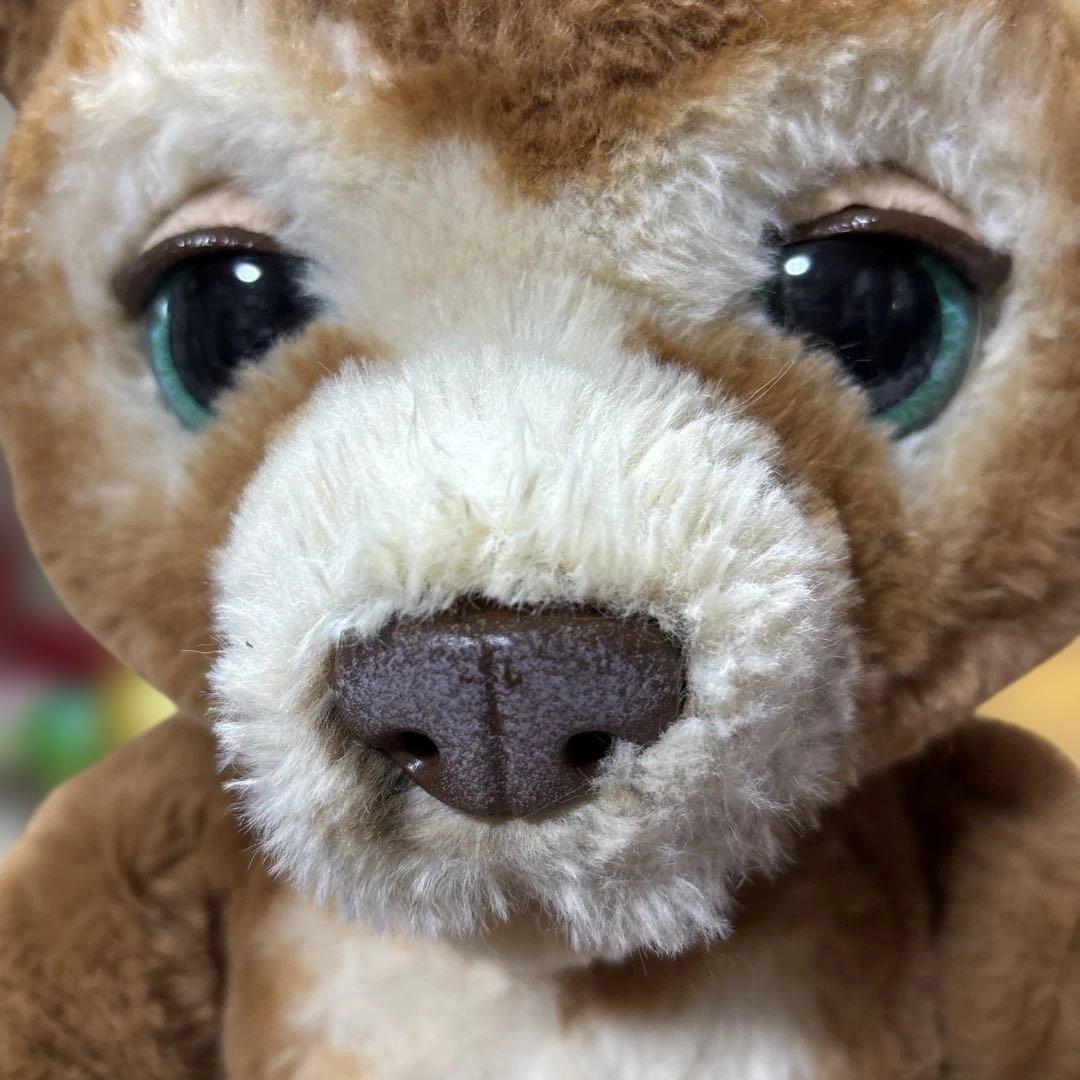 【廃盤品】電動ぬいぐるみ「ファーリアル 遊ぶのだいすき♪ こぐまのカビー」