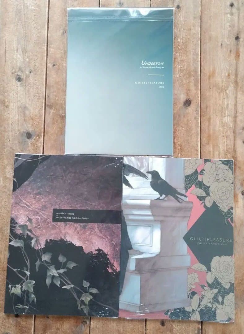 【日本未発売】２冊「In These Words」続編 chapter20,21