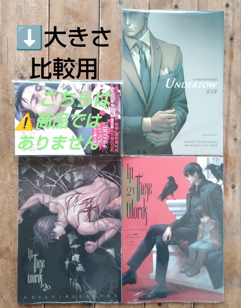 【日本未発売】２冊「In These Words」続編 chapter20,21